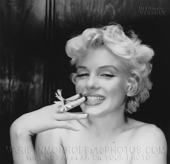 MARILYN MONROE CHEWING ON DANDELION (1) RARE 8x10 PHOTO