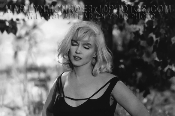 MARILYN MONROE DISHEVELLED BEAUTY (2) RARE 8x10 PHOTOS 