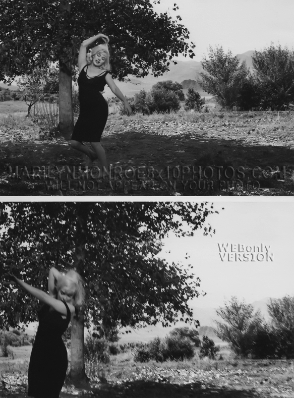 MARILYN MONROE FROLICKINGintheWOODS (2) RARE 8x10 PHOTOS