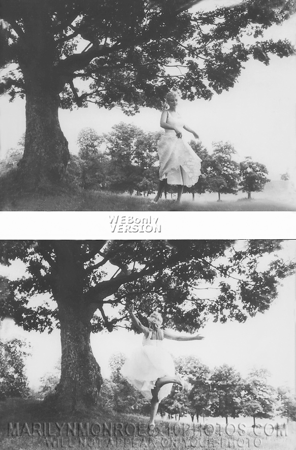 MARILYN MONROE FROLICKING with NATURE (1) RARE 8x10 PHOTO