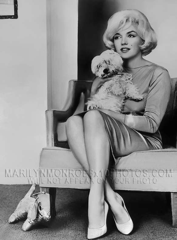 MARILYN MONROE INTERVIEW with DOGGIE (1) RARE 8x10 PHOTO