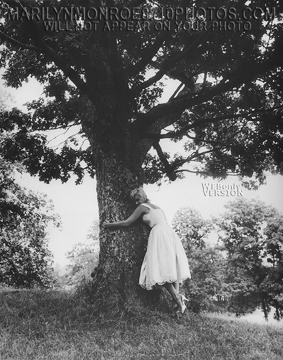 MARILYN MONROE NATURE LOVER  (3) RARE 8x10 PHOTOS