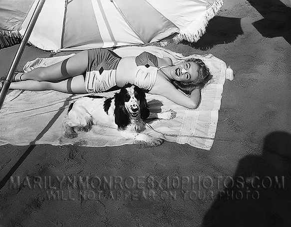 MARILYN MONROE Norma Jeane wBeachDog (1) RARE 8x10 PHOTO