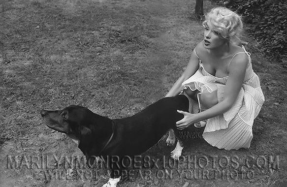 MARILYN MONROE Out with Basset Hound (2) RARE 8x10 PHOTOS 