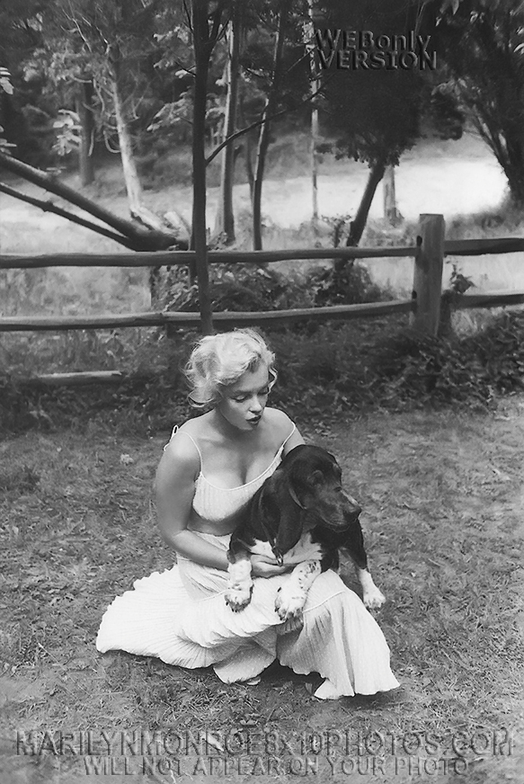 MARILYN MONROE Out with Basset Hound (2) RARE 8x10 PHOTOS
