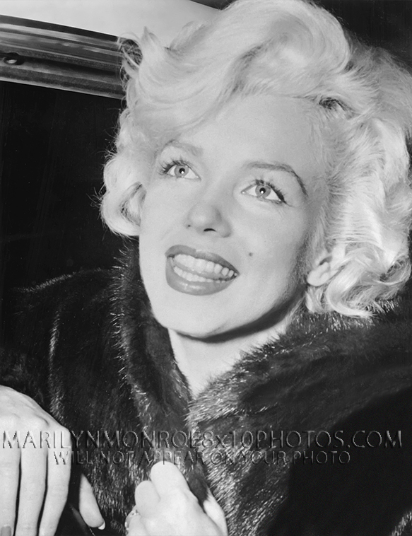 MARILYN MONROE PLATINUM and FUR (1) RARE 8x10 PHOTO