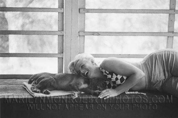 MARILYN MONROE PUPPY HAPPiNESS (1) RARE 8x10 PHOTO
