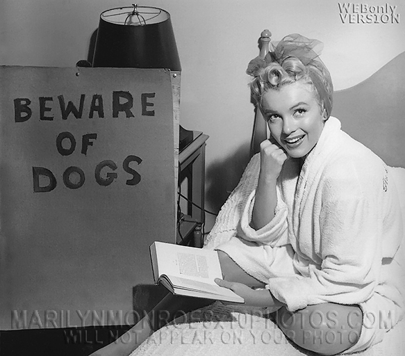 MARILYN MONROE READING in a BATHROBE (3) RARE 8x10 PHOTOS