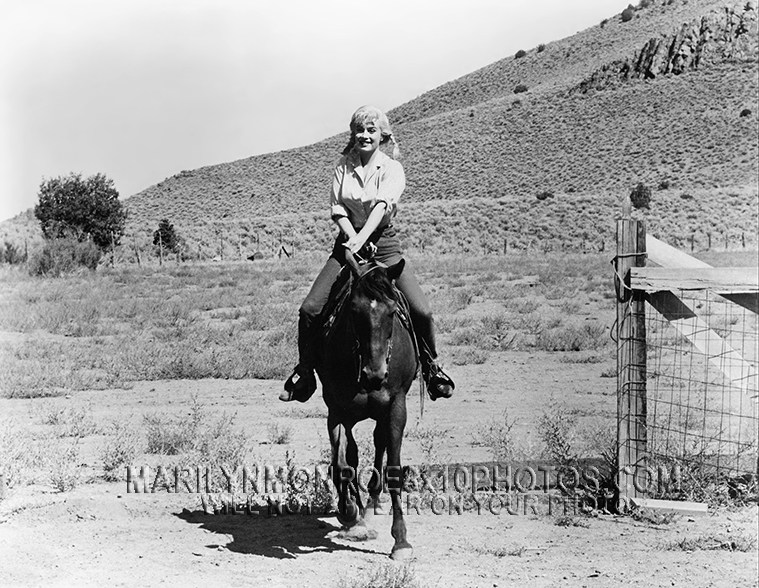 MARILYN MONROE RIDING A HORSE (1) RARE 8x10 PHOTO