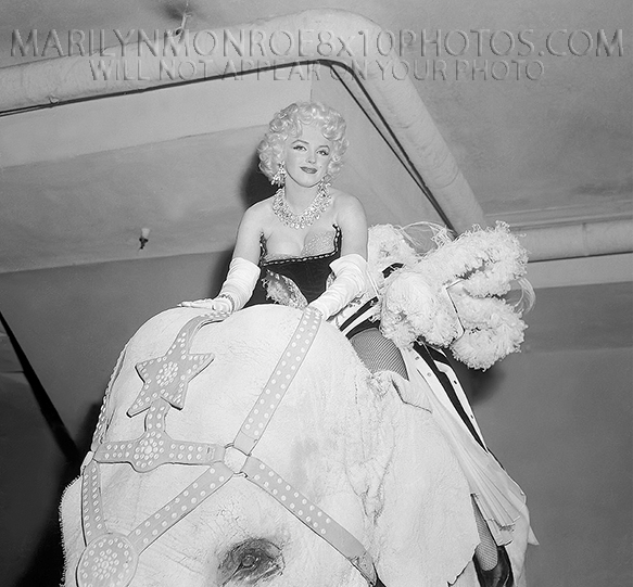 MARILYN MONROE RIDING CIRCUS ELEPHANT (3) RARE 8x10 PHOTOS