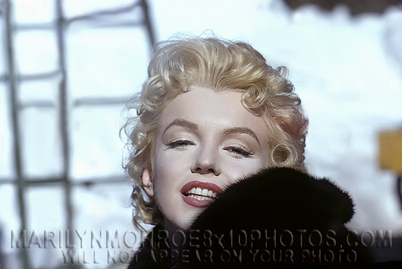 MARILYN MONROE SEXYBEAUTY IN BROWNFUR (2) RARE 8x10 PHOTOS 