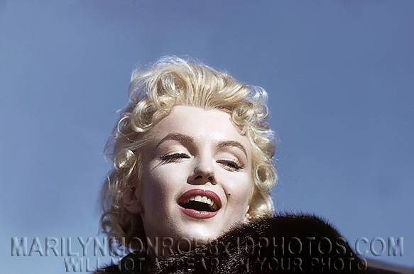 MARILYN MONROE SEXYBEAUTY IN BROWNFUR (2) RARE 8x10 PHOTOS
