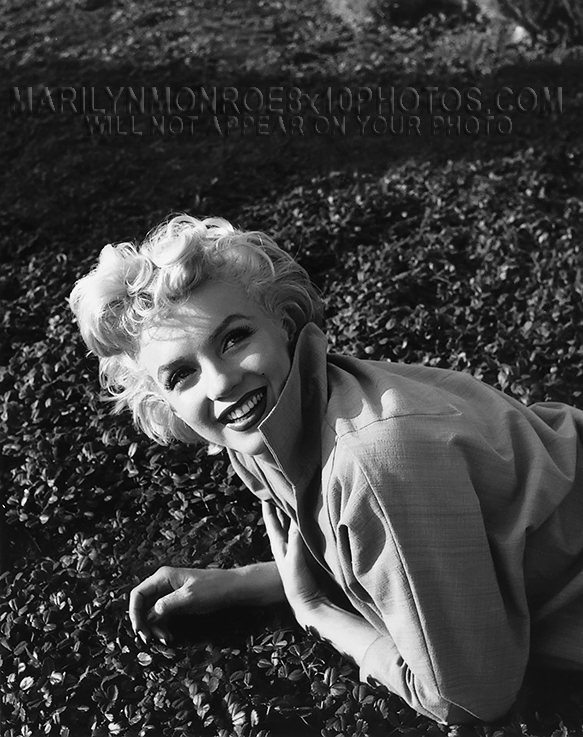 MARILYN MONROE SEXY ON THE GRASS (3) RARE 8x10 PHOTOS