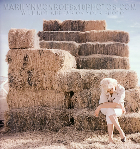 MARILYN MONROE SMOKING ON A HAYSTACK (1) RARE 8x10 PHOTO