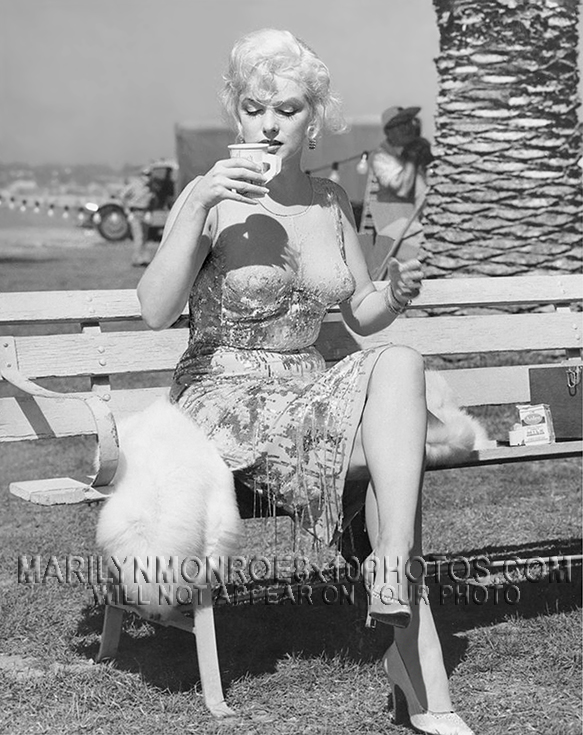MARILYN MONROE SOME LIKE IT HOT OFFST (3) RARE 8x10 PHOTOS 