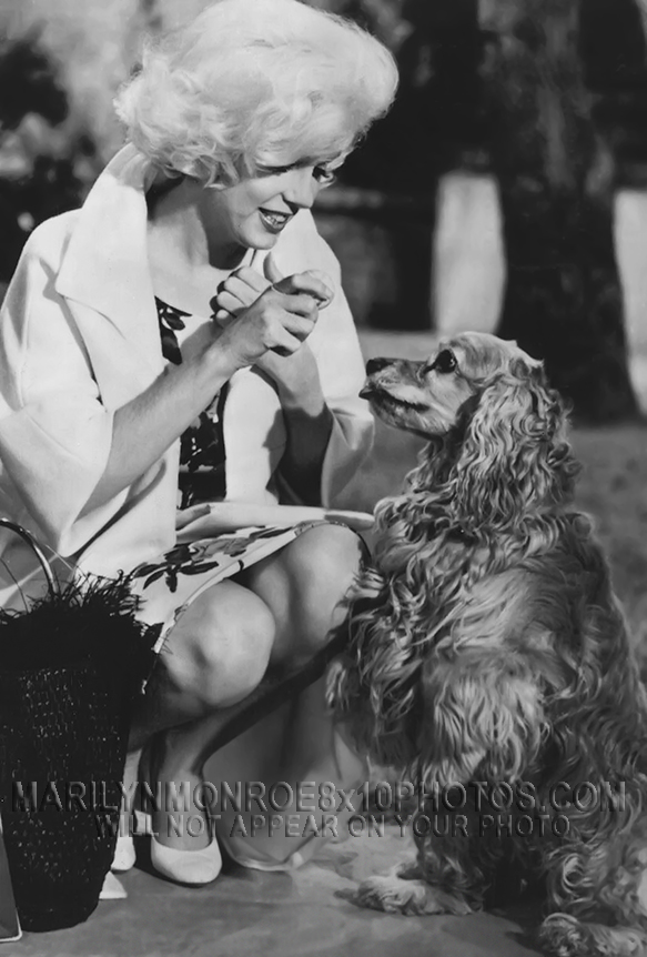 MARILYN MONROE SOMETHINGS GOT TO GIVE (3) RARE 8x10 PHOTOS