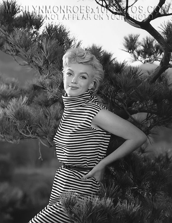 MARILYN MONROE STRIPED DRESS BEAUTY (3) RARE 8x10 PHOTOS 