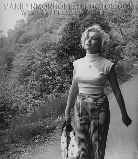 MARILYN MONROE STROLLING in NIAGARA (3) RARE 8x10 PHOTOS 