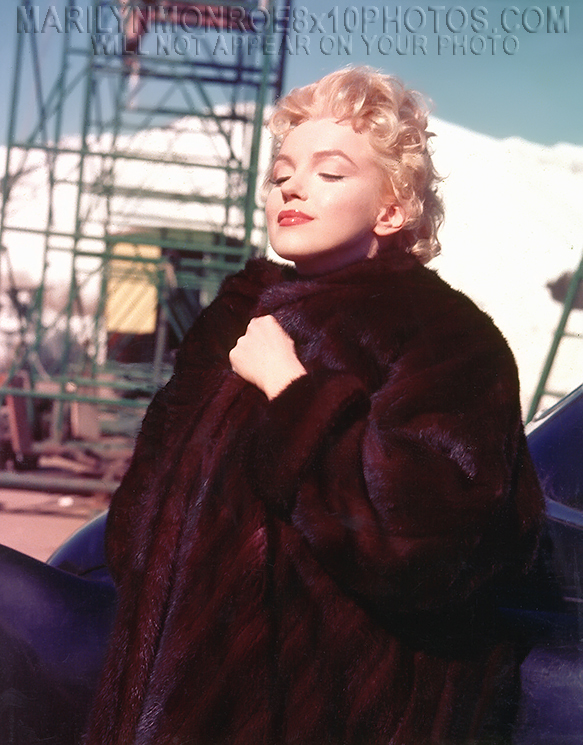 MARILYN MONROE SUN n BROWN FUR BEAUTY (1) RARE 8x10 PHOTO