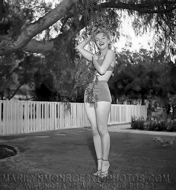 MARILYN MONROE SWINGING FROM A TREE (3) RARE 8x10 PHOTOS