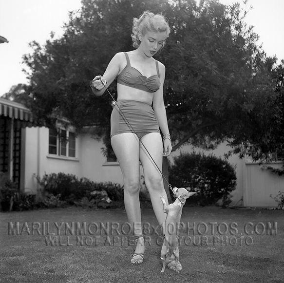 MARILYN MONROE TEACH A DOG NEW TRICKS (3) RARE 8x10 PHOTOS 