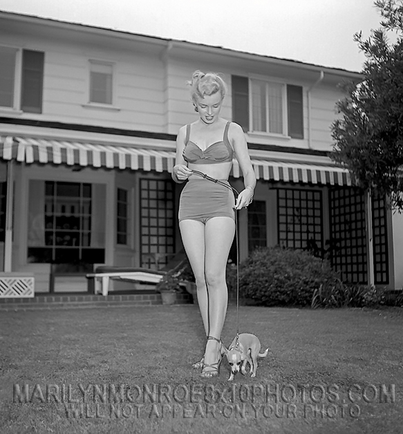 MARILYN MONROE TEACH A DOG NEW TRICKS (3) RARE 8x10 PHOTOS