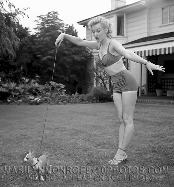 MARILYN MONROE TEACH A DOG NEW TRICKS (3) RARE 8x10 PHOTOS