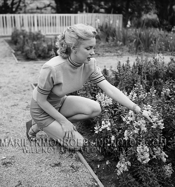 MARILYN MONROE TENDING THE GARDEN (2) RARE 8x10 PHOTOS 