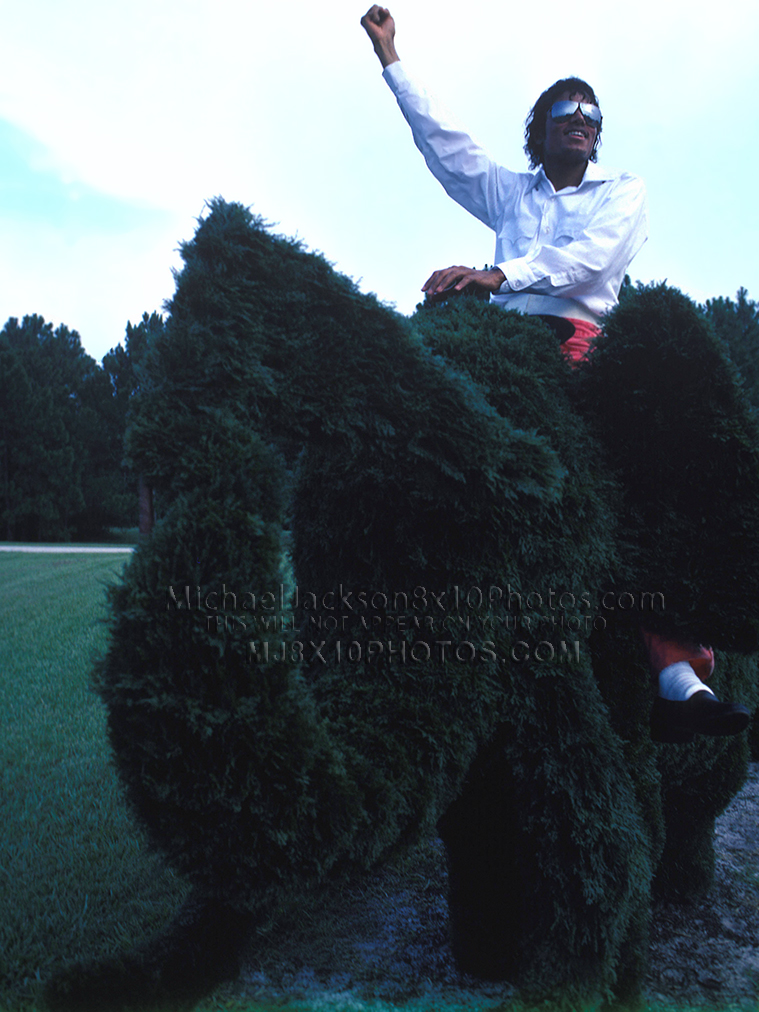 MICHAEL JACKSON 1984 ON A HORSEnSHRUB (2) RARE 8x10 PHOTOS