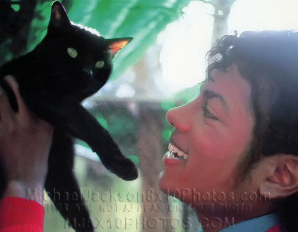 MICHAEL JACKSON 1984 with BLACK CAT (1) RARE 8x10 PHOTO