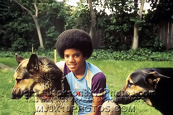 MICHAEL JACKSON  AGE11 WITH DOGS (3) RARE 8x10 PHOTOS