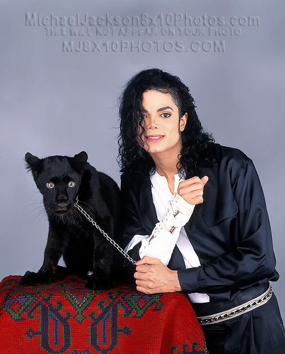 MICHAEL JACKSON  BLACKCAT whiteARMBAND (2) RARE 8x10 PHOTOS