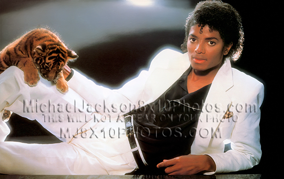 MICHAEL JACKSON  THRILLERCOVER wTIGER (1) RARE 8x10 PHOTO