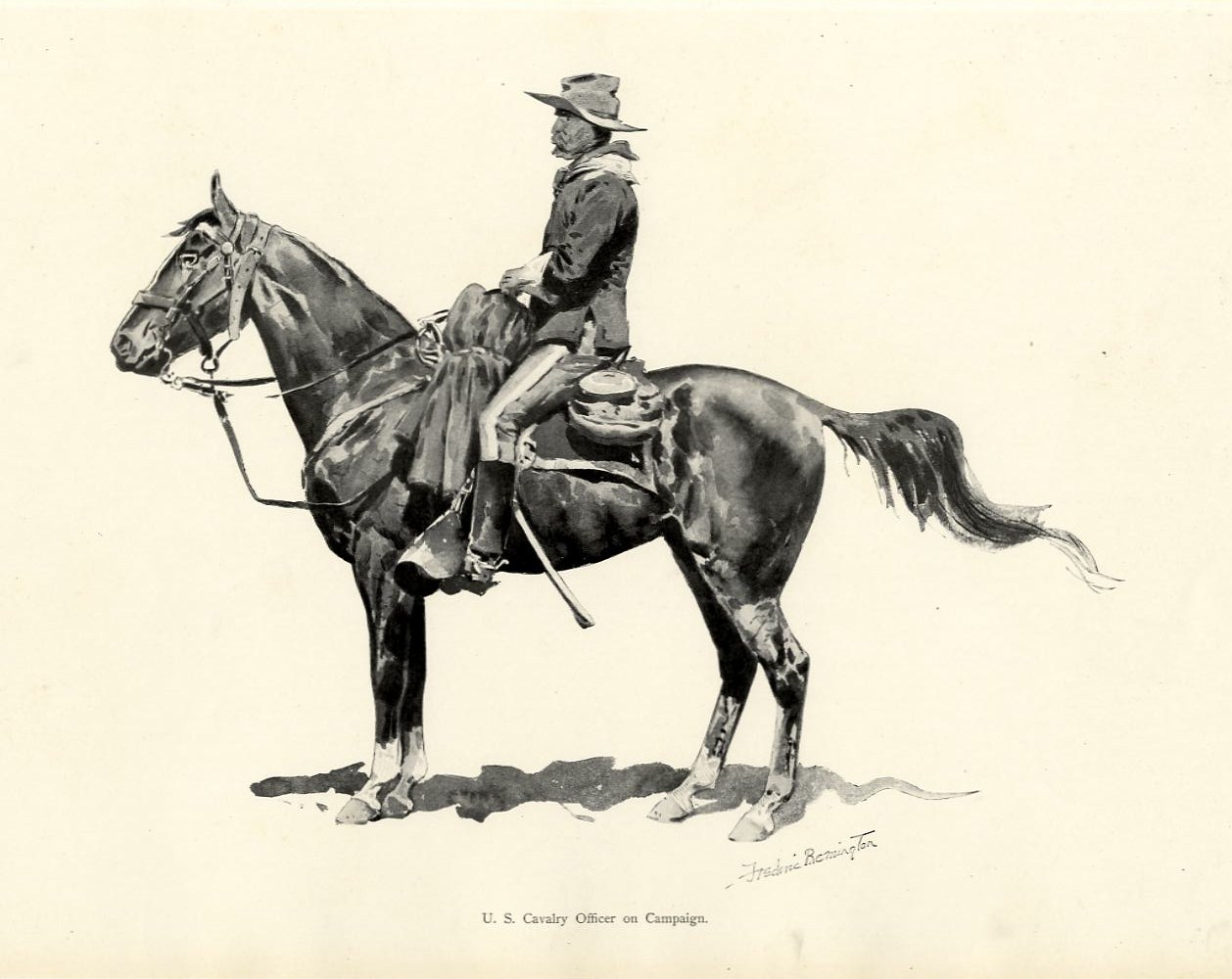 Horse reins images