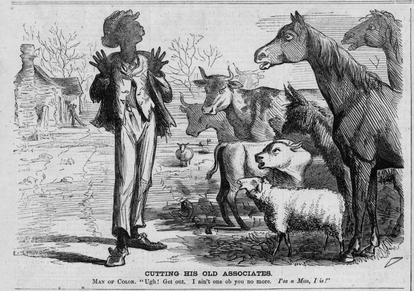 NEGRO MAN OF COLOR CUTTING HIS OLD ASSOCIATES NO LONGER ANIMAL HORSE 