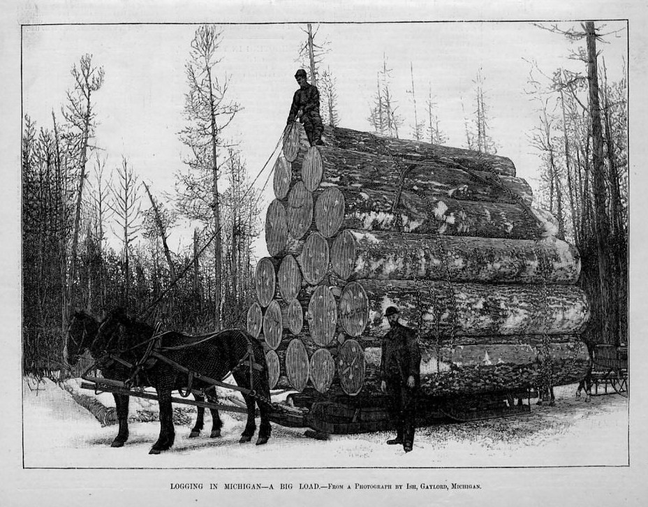 LOGGING IN MICHIGAN 1885 HISTORY HORSE DRAWN LOAD LOGGERS SLEIGH ...