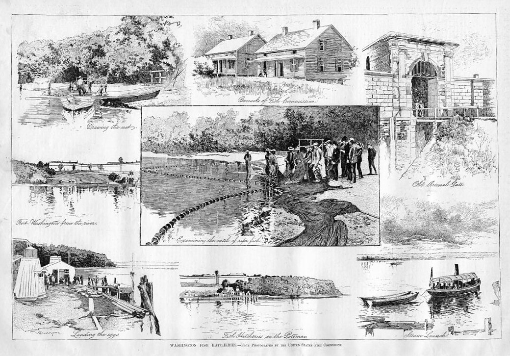 UNITED STATES FISH COMMISSION, WASHINGTON FISH HATCHERY Archives of