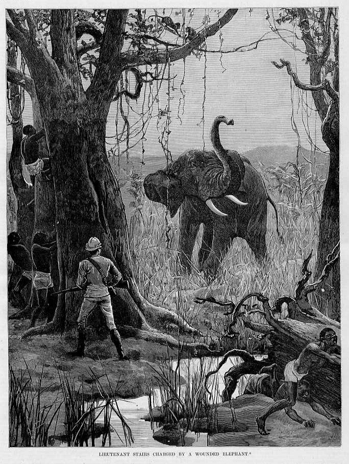 WOUNDED ELEPHANT CHARGING HUNTER NATIVES GUIDES ELEPHANT BIG GAME