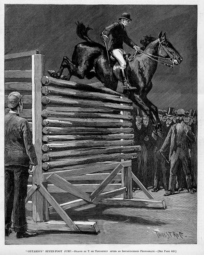 HORSES ONTARIO'S SEVENFOOT JUMP SADDLE HARNESS WHIP REINS JOCKEY HORS