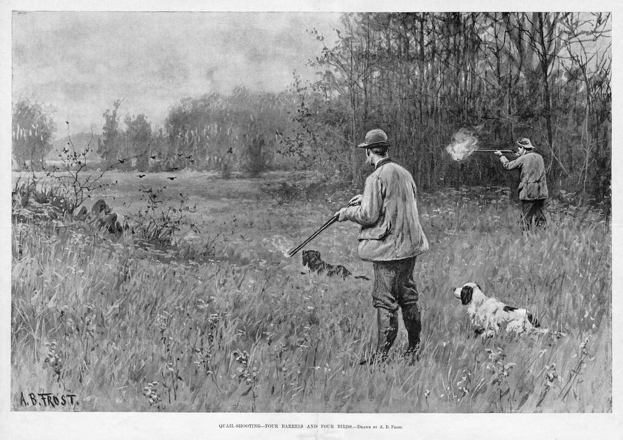 QUAIL HUNTING FOUR BARRELS FOUR BIRDS BY A. B. FROST UPLAND GAME BIRD ...